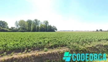 Imprimerie Qualit’Imprim - 59940 Neuf-Berquin