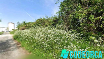 La toute petite agence - 33350 Flaujagues