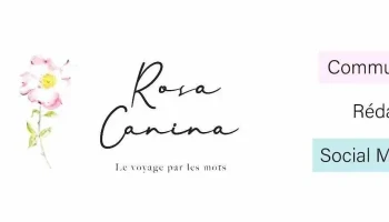 Rosa Canina Rédaction | Agence Web - 60200 Compiègne