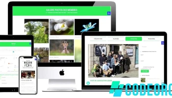 Studio Caleo • Webdesigner - France