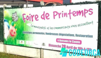 Synergie communication - 62810 Avesnes-Le-Comte