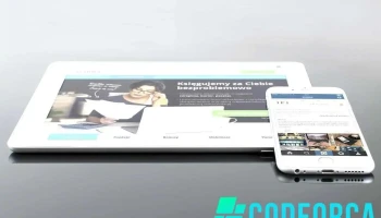 Thomas Deroubaix - Concepteur de sites web - France