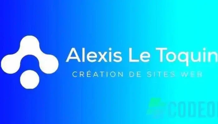 Alexis Le Toquin, Consultant en communication Digitale - France