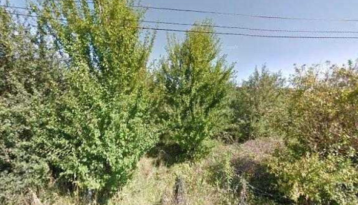 Alix Publicite Street View Et 360deg - Coursac
