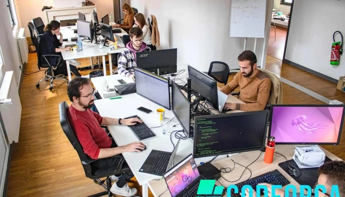 Amphibee Agence Wordpress Woocommerce Tout - Béthune