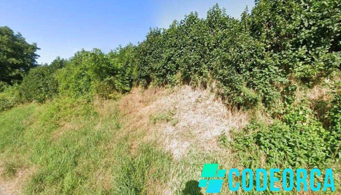 Babston2312 - Guiscard