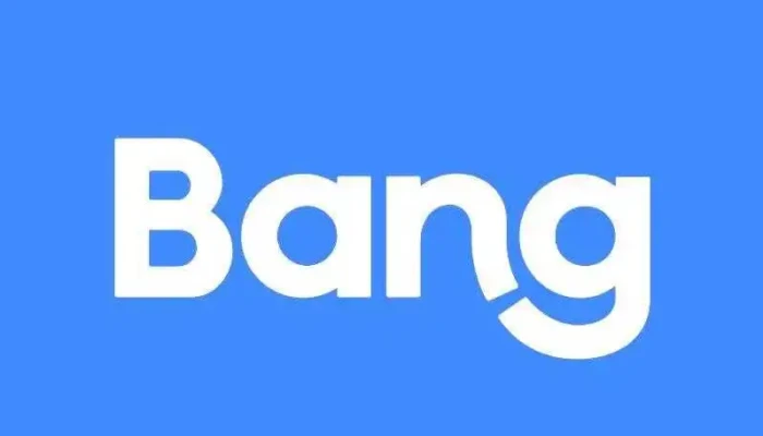 Bang -  Photos Du Proprietaire - Niort