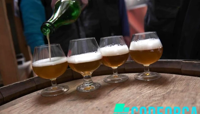 Brasserie Thiriez -  Photos Du Proprietaire - Esquelbecq