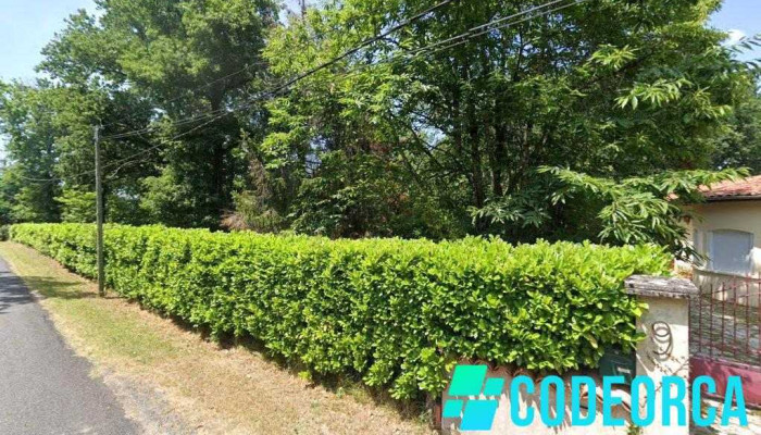 Chambrier Bruno - 33390 Berson