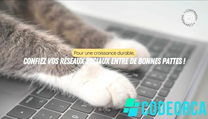 Community Manager - Com'matou - France