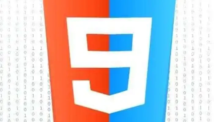 Cybricode - France
