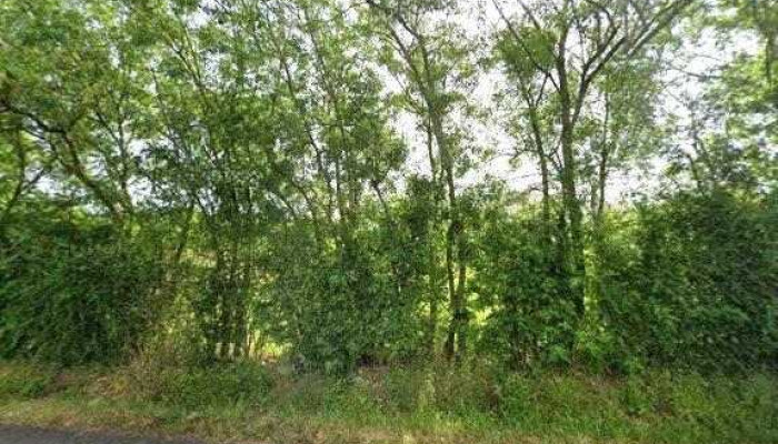 Espace Tartalin -  Street View Et 360deg - Aiffres