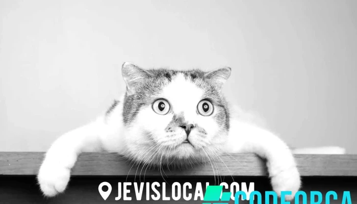 Je Vis Local -  Photos Du Proprietaire - Limoges