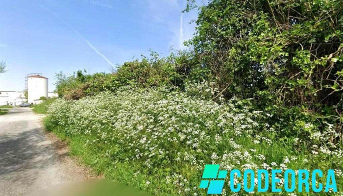 La toute petite agence - 33350 Flaujagues