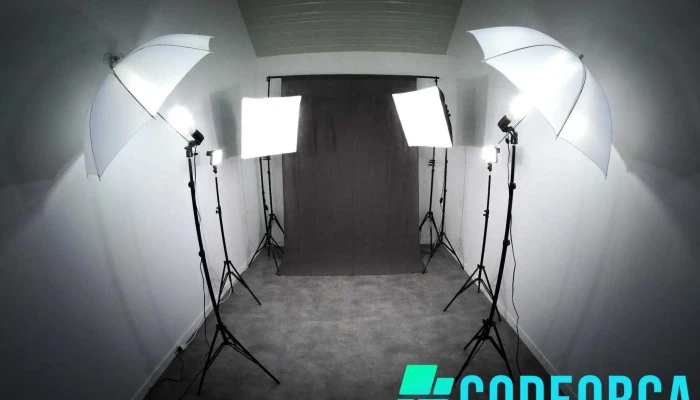 Leaf Studio -    Photographie Communication Photos Du Proprietaire - Grignols