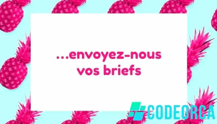 Les Enchanteurs -  Videos - Lille