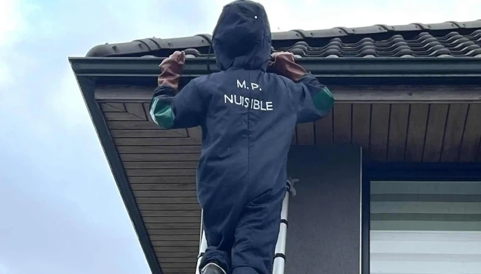 Mp Nuisible -  Site Web - Faumont