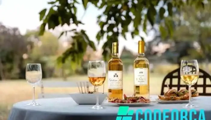 Oenotourisme Sauterne Barsac - 33720 Barsac