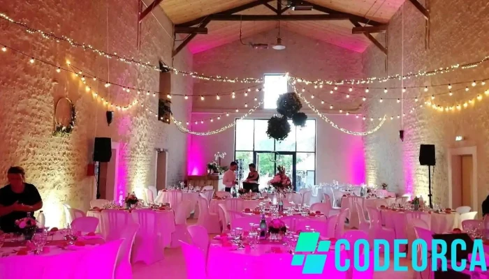 Organisons - Son / Éclairage / Vidéo / Dj - Niort - 79360 Beauvoir-Sur-Niort