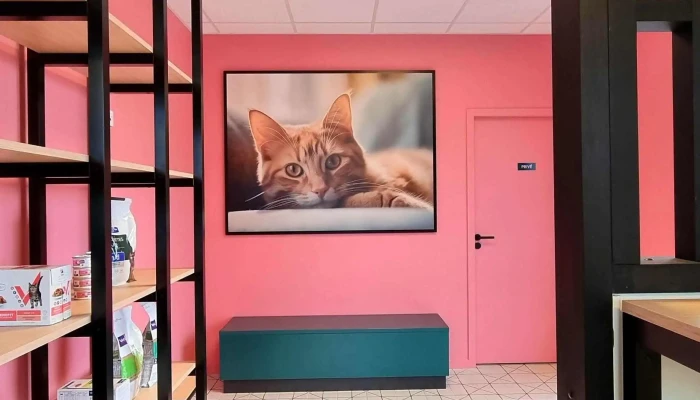Sap Publicité - Libourne