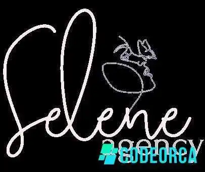 Selene Agency Excinflus -  Photos Du Proprietaire - Niort