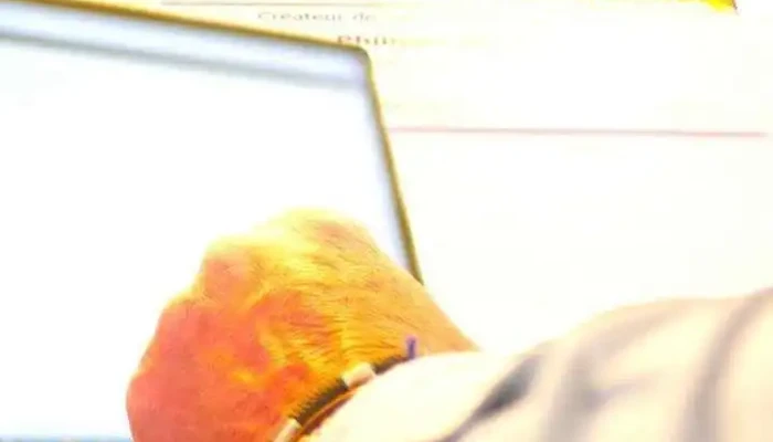 Site Internet Pour Tous - France