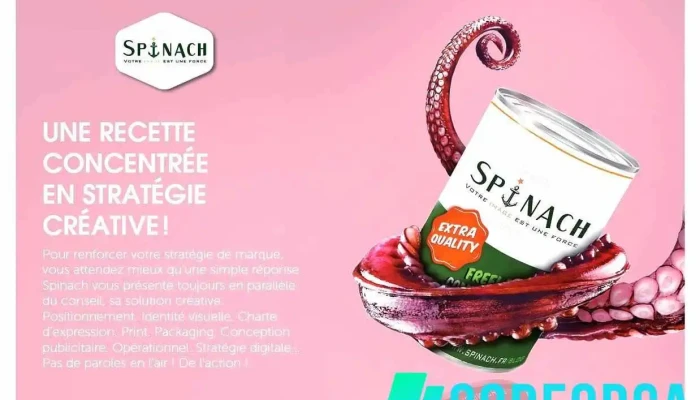 Spinach -  Photos Du Proprietaire - Boulogne-sur-mer