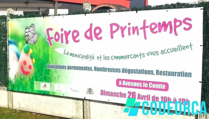 Synergie communication - 62810 Avesnes-Le-Comte