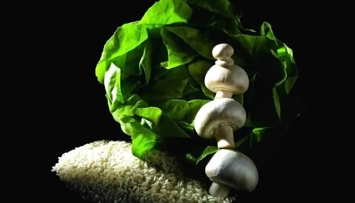 Transgourmet -  Tout - Gouzeaucourt