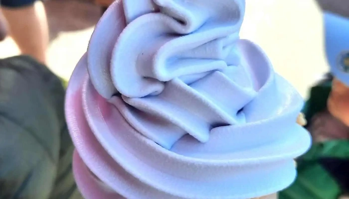 Vanille Fraise -  Creme Glacee - Berck