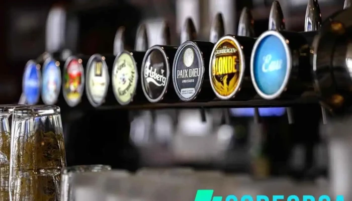 Watsons Pub Plats Et Boissons - Périgueux