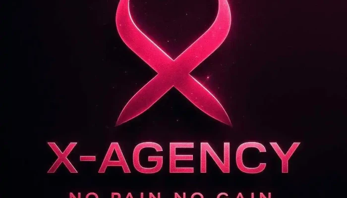X - Agency - 86300 Chauvigny